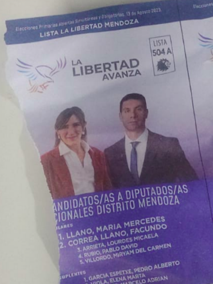 Qué pasó con las boletas de Milei en Mendoza, según el juez federal  electoral - Noticias de Mendoza - Memo